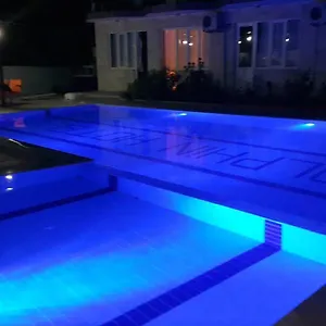 Dolphin Yunus Türkiye